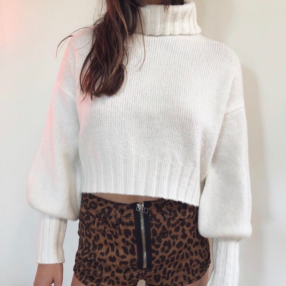 Dylan Turtleneck Sweater